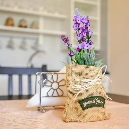 Villavida Quarto em Acomodações Particulares